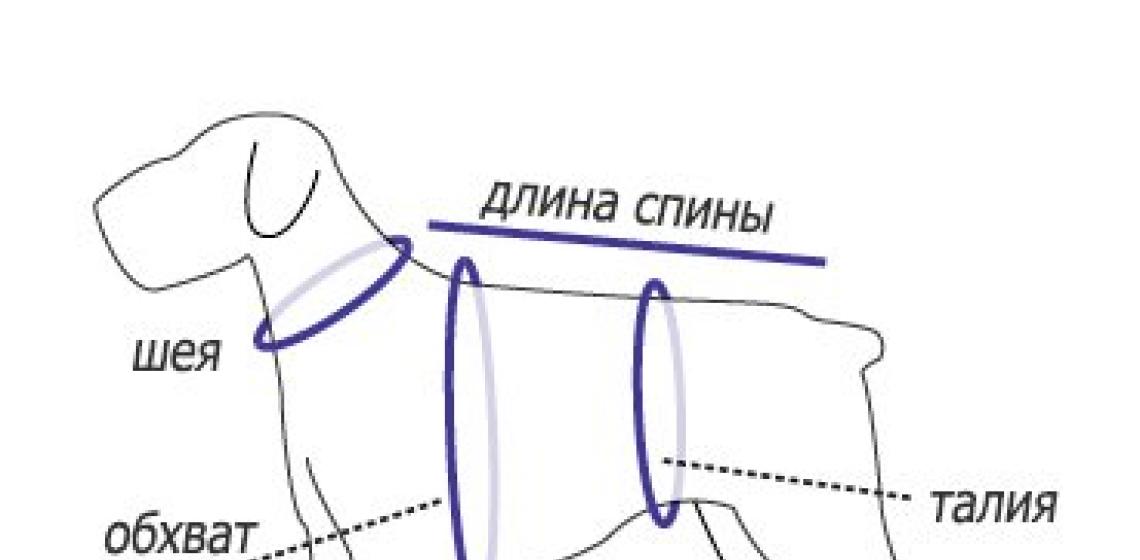 Вяжем одежду для собак своими руками: подробные схемы с описанием работы Как связать одежду для собаки крючком